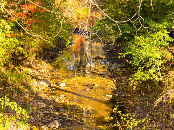 Fototapeta A small dried up creek and bridge during fall. 
