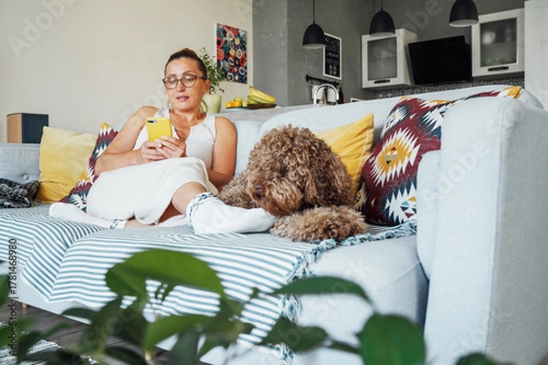 Fototapeta Maltipoo dog lying on sofa while middle aged female in glasses browsing her smartphone relaxing on comfortable living room couch enjoying quiet peaceful moment together in cozy home environment