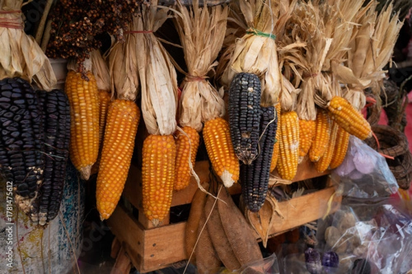 Fototapeta corn cubs on the market	
