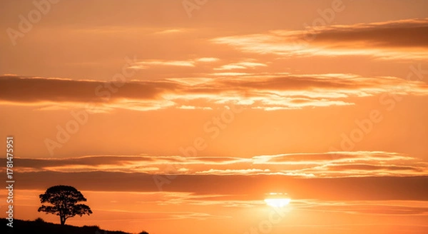 Obraz Serene Landscape with a Single Tree Silhouetted Against a Fiery Sunset.
