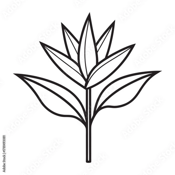 Obraz Bird of paradise flower Strelitzia reginae tropical exotic floral vector illustration isolated on white background