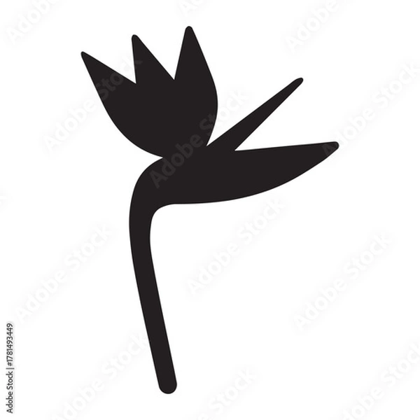 Obraz Vector illustration of bird of paradise flower Strelitzia reginae tropical floral design element isolated on white
