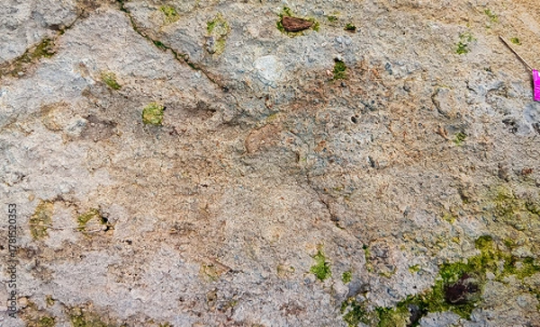 Obraz Close-up of weathered rough concrete wall with subtle moss growth and natural earthy tones, ideal for realistic texture or background design use.
