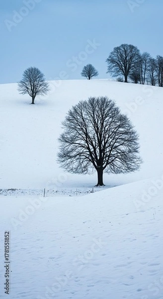 Obraz A tranquil winter landscape featuring snow-covered hills under a clear sky, with bare trees creating a stark, beautiful scene ,hillside ,pristine ,terrain
