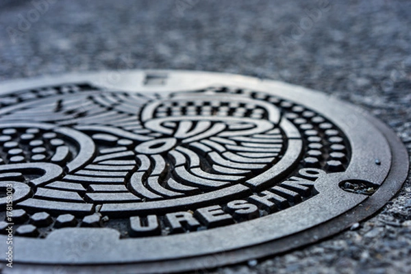 Obraz マンホール