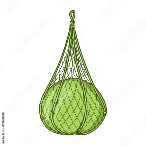 Fototapeta Green fruit in a woven net bag, suspended from a loop