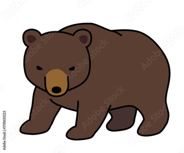 Fototapeta こちらを警戒しているヒグマ