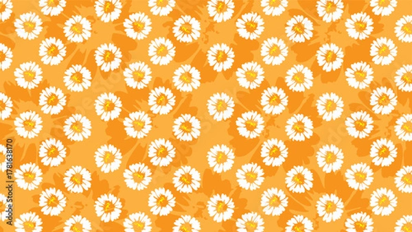 Fototapeta daisy flower white pattern