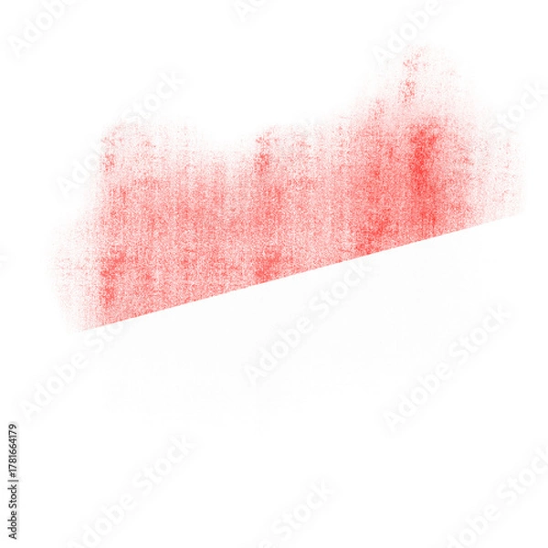 Obraz Indonesian Brush Flag Texture