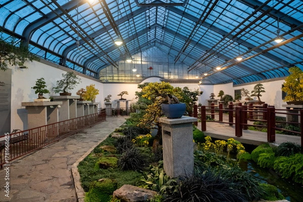 Fototapeta View of plants inside a greenhouse at Jardin Botanique.