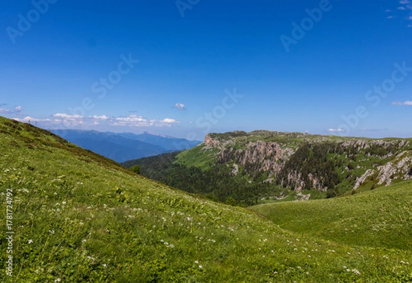 Obraz High-altitude meadows with flowers and green vegetation during the summer and autumn seasons