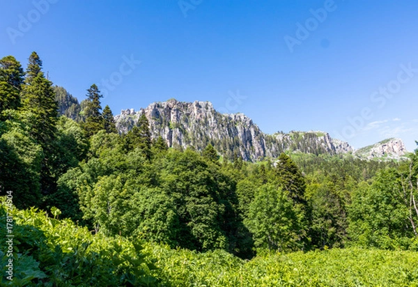 Obraz High-altitude meadows with flowers and green vegetation during the summer and autumn seasons