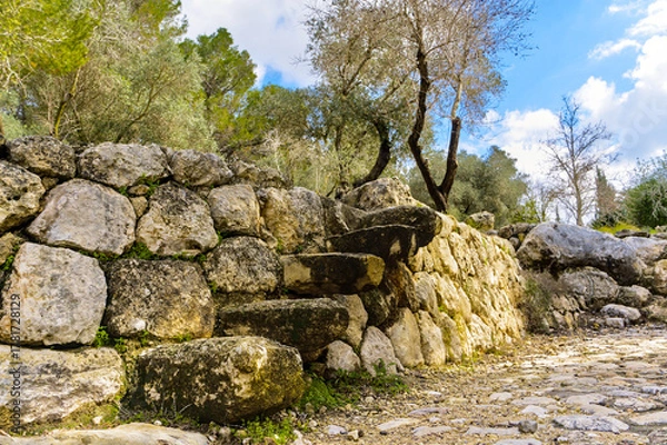 Fototapeta  Ancient steps made of blocks of stones against the backdrop of the beautiful nature of the forest in Ayalon Canada Park in Israel