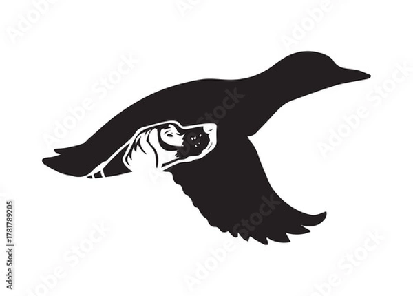Obraz flying duck vector illustration, silhouette of flying duck graphic art
