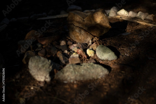 Fototapeta Rocks in the forest. Beautiful stones are collected in one place. Minerals excavated from the ground.