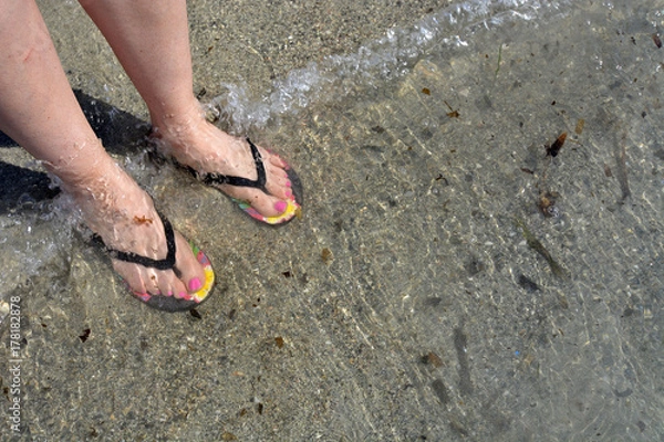 Obraz Playa, beach pies agua 