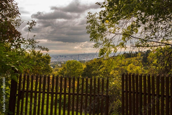 Fototapeta Wiener Weinberge