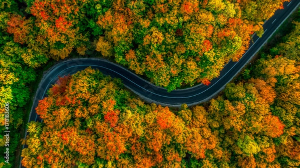 Fototapeta Widok z lotu ptaka na gęsty las jesienią z przecinającą drogą