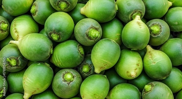Fototapeta Abundant Pile of Fresh Green Radishes, Close-up Top View