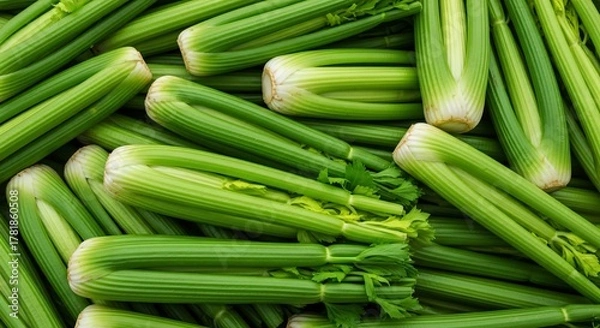 Fototapeta Abundant Fresh Green Celery Stalks Piled Together in a Full Frame Overhead Shot