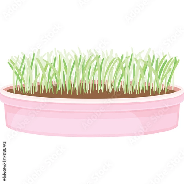 Fototapeta A Pink Pot Filled With Fresh Green Grass With A Transparent Background