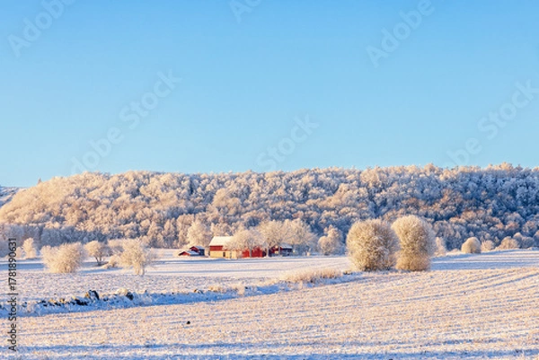 Obraz Wintry landscape with a red farmhouse by a hill