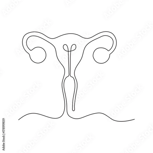 Fototapeta Continuous one line art  drawing of female reproductive uterus and women's day vector illustration.