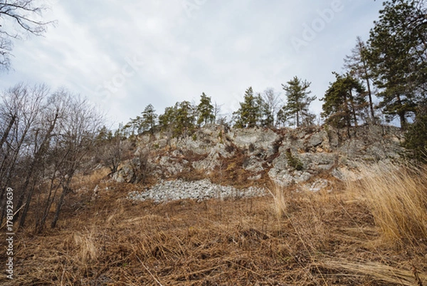 Fototapeta Solid rocky landscape, Rugged terrain with sparse vegetation, Eroded cliffside featuring dry foliage scattered throughout, Jagged rock formations with minimal plant life and weathered edges