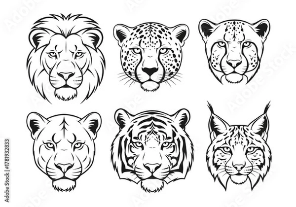 Fototapeta Heads of various wild cats: lion, leopard, cheetah, puma, tiger, lynx, in black and white, vector illustration.