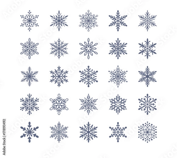 Fototapeta Cute snowflakes collection isolated on white background. Flat snow icons, snow flakes silhouette. Nice element for christmas banner, cards. New year ornament. Organic and geometric snowflake set.