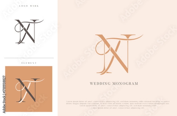 Obraz Elegant wedding monogram TN initials with calligraphic flourish