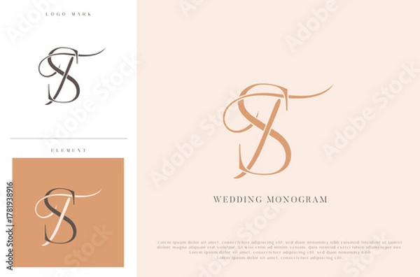 Fototapeta Elegant wedding monogram TS initials with calligraphic flourish