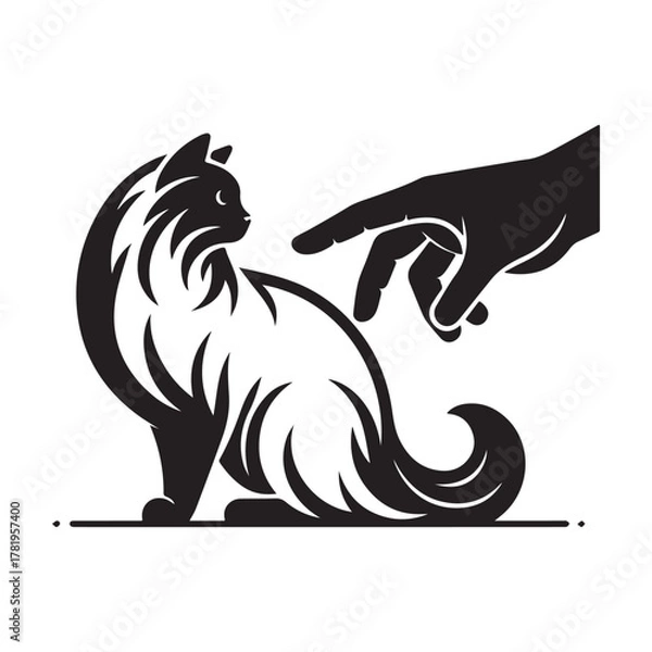 Obraz Cat and Hand Interaction: A Gentle Touch.