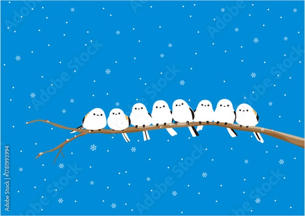 Fototapeta 青空に雪が降る中、枝に止まっている沢山のかわいいシマエナガ