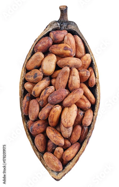 Fototapeta Cocoa pod isolated on white background