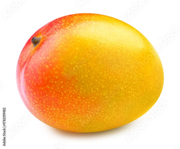 Obraz Mango isolated on the white background