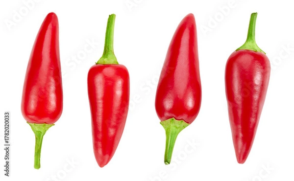 Obraz Red hot chili pepper isolated on a white background