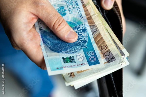 Obraz Close-up of a hand holding Polish złoty banknotes taken from a black wallet. Concept of finance, salary, savings, or payment