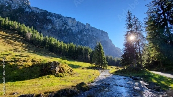 Fototapeta Peaceful mountain landscape with a mountain stream, fir trees, green meadows, and sunbeams shining through the tall fir trees, Bernese Oberland, Switzerland