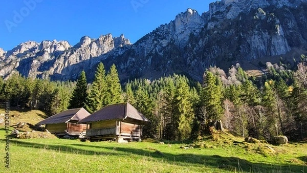 Fototapeta Landscape in the Swiss Alps in the Bernese Oberland with typical wooden huts, fir forests, green meadows, and blue skies, Justis Valley, Switzerland
