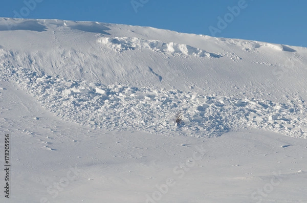 Fototapeta An avalanche of snow came down from the hill.