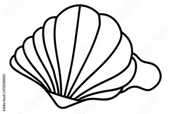 Obraz seashell coloring book page, seashell line art vector, 