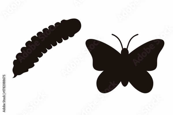 Obraz butterfly black vector, butterfly silhouette, butterfly icon