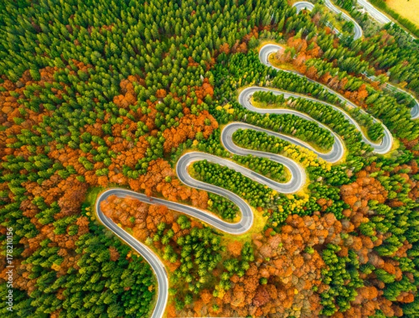 Obraz Aerial view of winding road through autumn colored forest