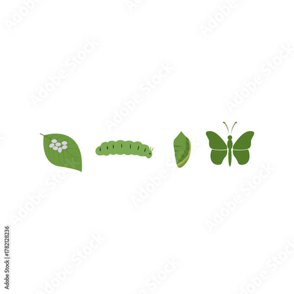 Fototapeta Butterfly life cycle in pastel tones: metamorphosis journey from caterpillar to butterfly