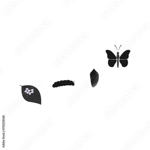 Fototapeta Butterfly life cycle in pastel tones: metamorphosis journey from caterpillar to butterfly