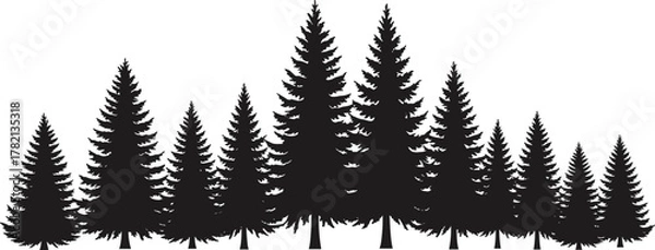 Fototapeta Dense pine forest silhouette, black conifer tree group, nature landscape illustration, evergreen woodland scene, vector graphic, isolated on white background