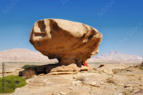 Obraz The stone mushroom is an amazing creation of nature in the Bektau Ata Nature Park in Kazakhstan - a giant boulder balancing on a thin leg in the middle of the steppe landscape 