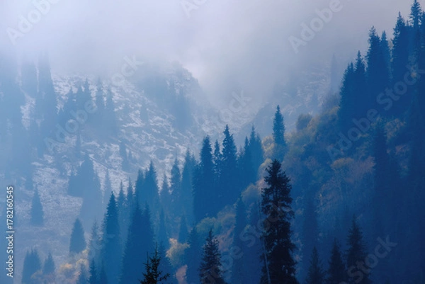 Fototapeta Mountain peaks drowned in a milky haze, and evergreen fir trees breaking through the fog. The mesmerizing beauty and silence where time stops.