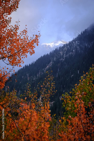 Fototapeta Autumn colors, mist, shrouded mountains and snow-capped peaks create an atmosphere of peace. The forest descends like a velvet carpet, and the bright leaves in the foreground 